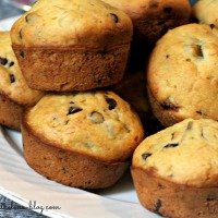 {the best} Chocolate Chip Muffins